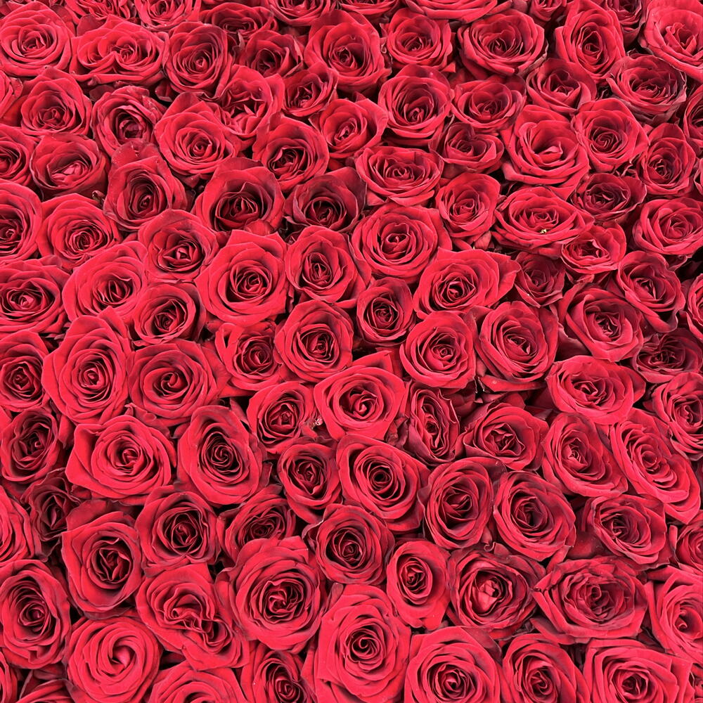 🌹КОМПОЗИЦИЯ ИЗ 501 КРУПНОЙ КРАСНОЙ РОЗЫ В КОРЗИНЕ🌹