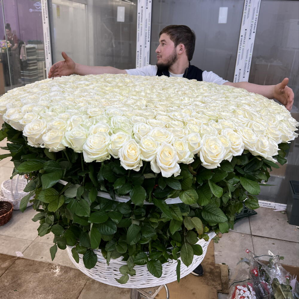 🌹КОМПОЗИЦИЯ ИЗ 501 КРУПНОЙ БЕЛОЙ РОЗЫ В КОРЗИНЕ🌹