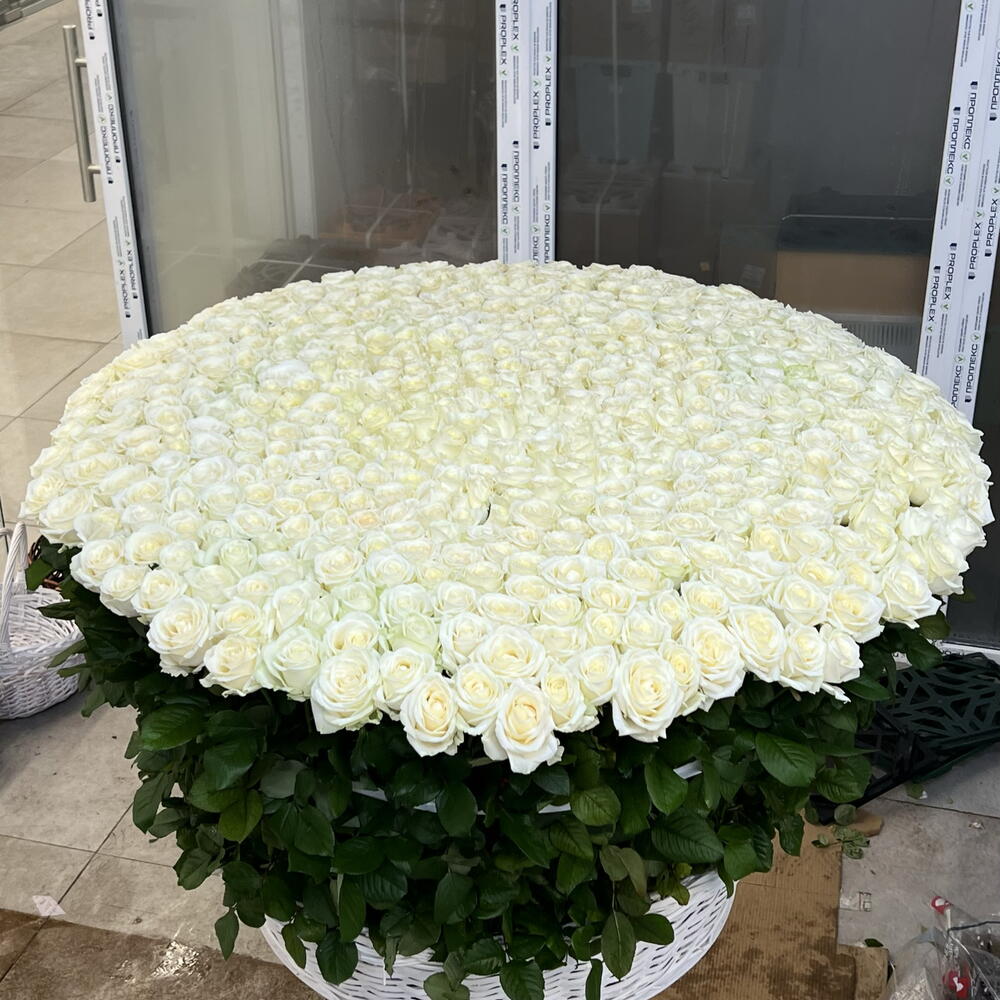 🌹КОМПОЗИЦИЯ ИЗ 501 КРУПНОЙ БЕЛОЙ РОЗЫ В КОРЗИНЕ🌹